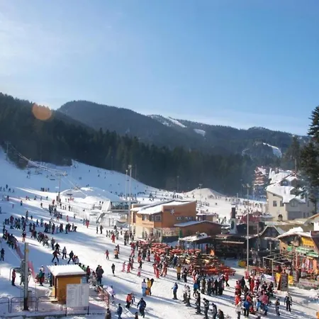 Apartment Euphoria Borovets