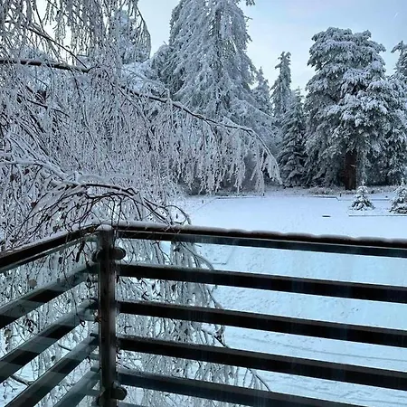 Apartament Euphoria Boroveț