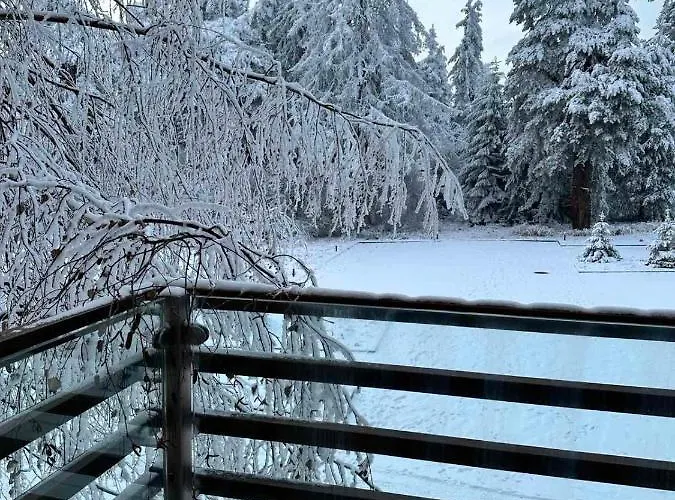 شقة Euphoria بوروفتس